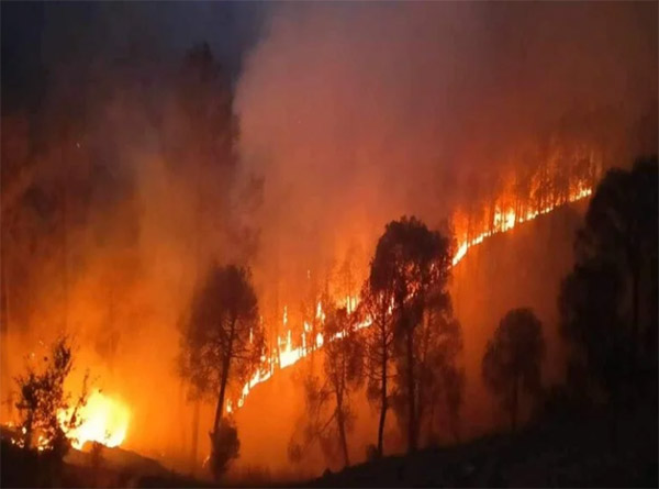 Uttarakhand Forest Fire