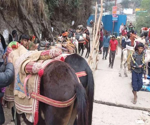 Chardham Yatra