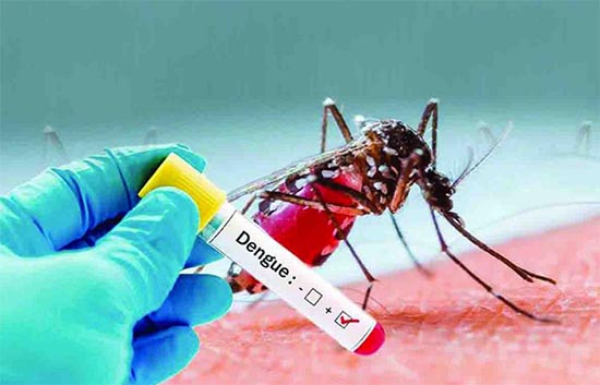 Dengue in Dehradun